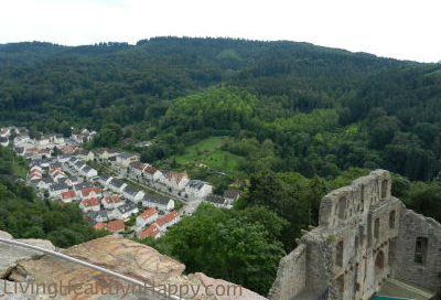 from castle looking down