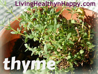 thyme_opt
