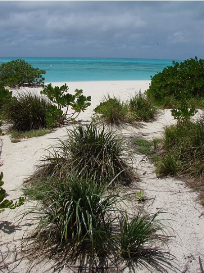 West Beach Sand Island